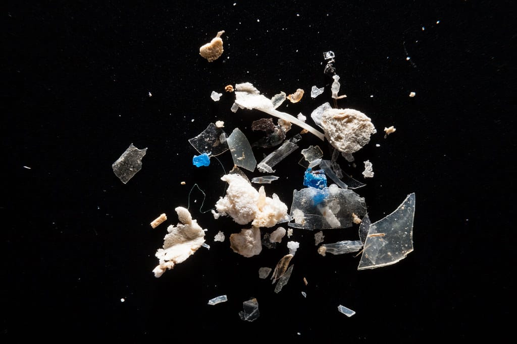 Microplastics Wreak Havoc on Marine Ecosystems and Bioaccumulate in Organisms Over Time