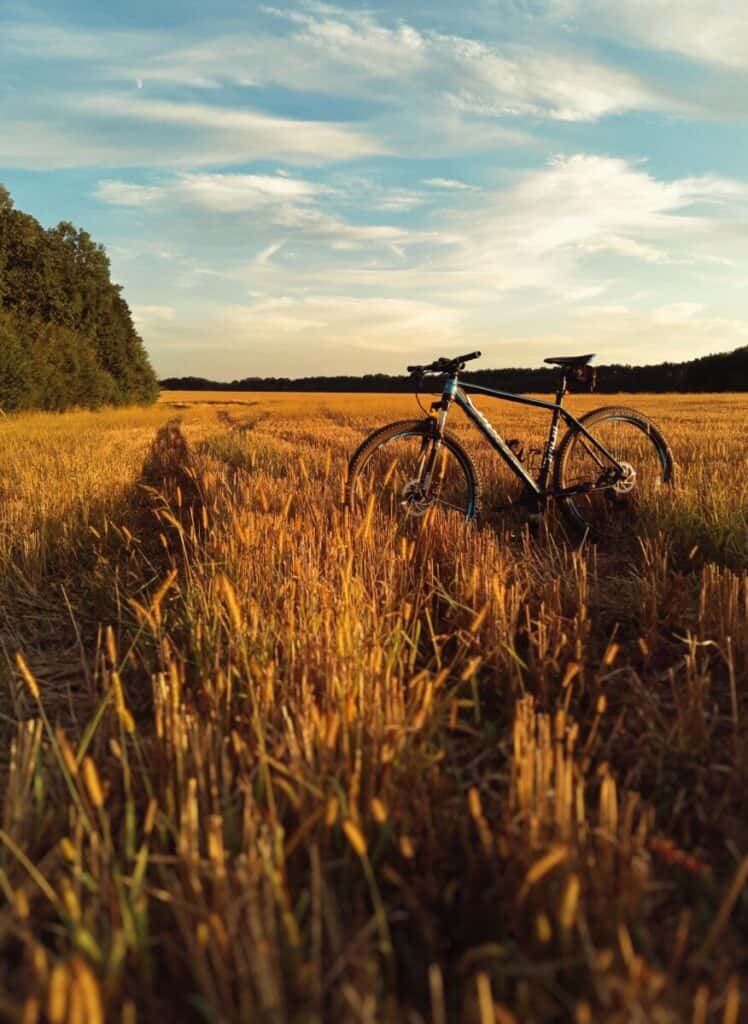 Introduce biking everywhere into your fitness routine to help with climate change. 