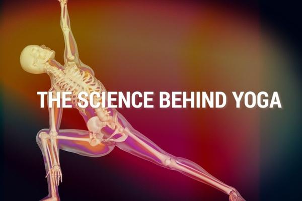 The science behind yoga